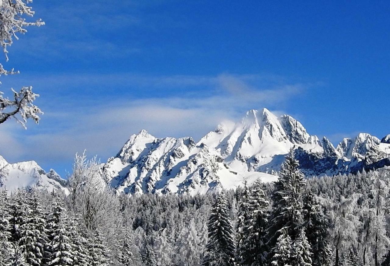 Strbske Pleso Rezidencia Oliver - Apartman 16A Zewnętrze zdjęcie